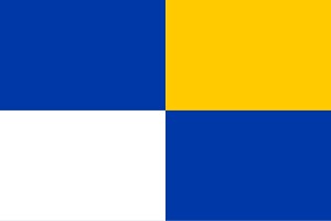 Vlag van de gemeente Winterswijk