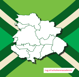 Banner van de achterhoekse vlag met daarop de kaart van de gemeenten